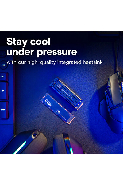Crucial T710 4TB PCIe Gen5 NVMe M.2 SSD CT4000T710SSD5 SOĞUTUCULU Heatsink
