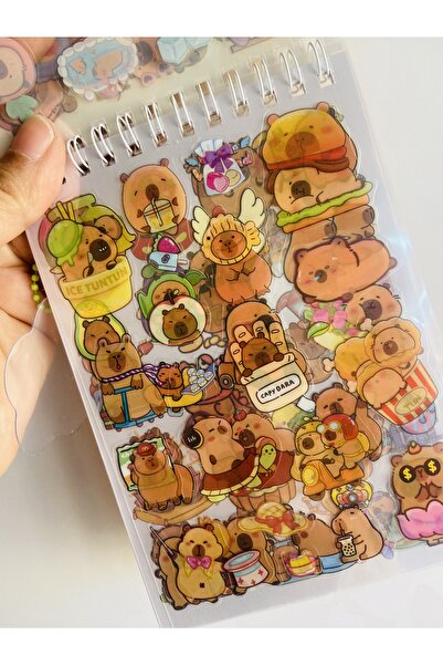 synshop Capybara Sticker Decal 24 Sheets 300Pcs Waterproof+Opaque 10 Sheets Ruler Keychain Notepad
