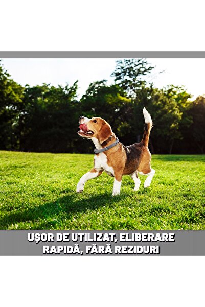 Fish & Paws Collar ®, anti-flea for dogs, adjustable and breathable