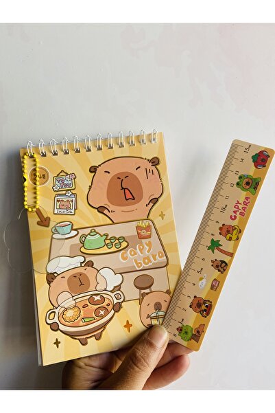 synshop Capybara Sticker Decal 24 Sheets 300Pcs Waterproof+Opaque 10 Sheets Ruler Keychain Notepad