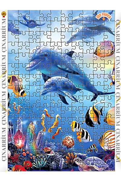 pınaxar Yunuslar İçin Gezi Vakti Dekoratif Çift Katlı Çerçeveli Asılabilir Ah...