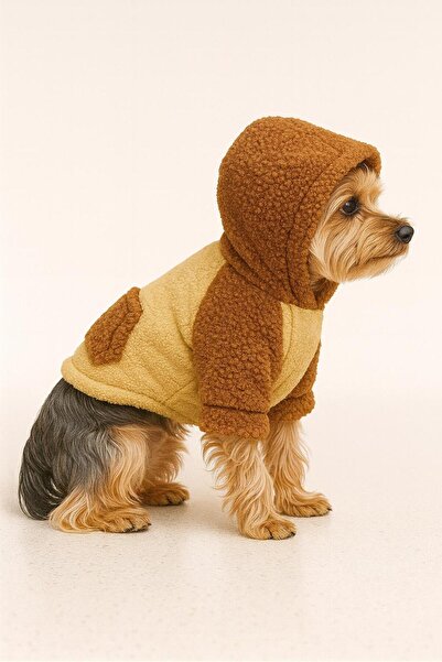 Buddy Store Contrast Plush Sweatshirt Hoodie - Hooded