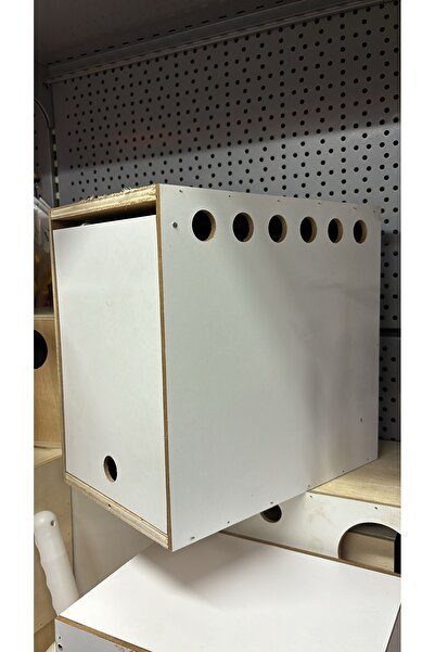 GenelTedarik Profosyonel Sultan Papağanı,Jumbo Muhabbet kuşu,Show Jumbo Muhab...