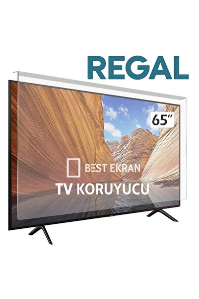 Regal 65V01900 TV EKRAN KORUYUCU /[ 65" inç 164cm 165 Ekran Koruma paneli
