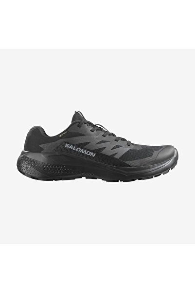 Salomon Alphaglide Gore-Tex Erkek Koşu Ayakkabısı