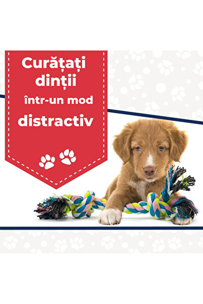 Fish & Paws Jucarii interactive de mestecat pentru caini, ®