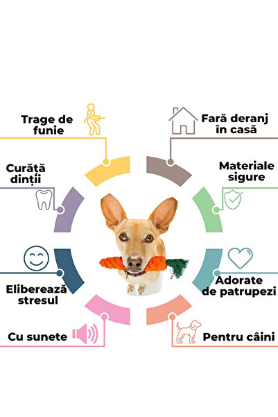 Fish & Paws Jucarii interactive de mestecat pentru caini, ®