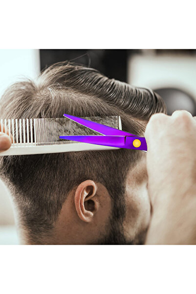 Regal Bliss Professional hairdressing scissors, ®, for barbershops, 14 cm, 8 pieces