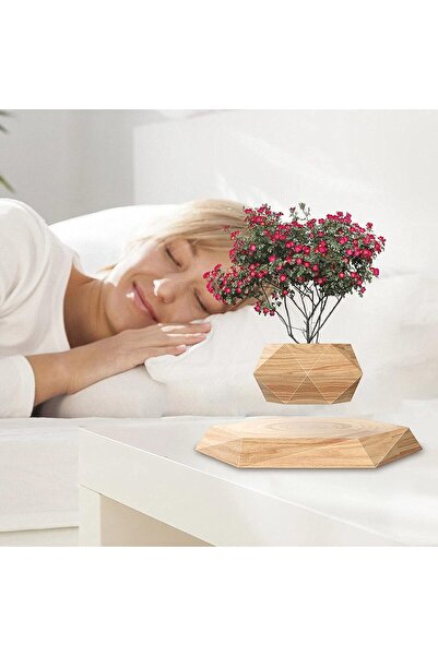 Fipka NICETOW Small Levitating Air Bonsai Pot, Decorative Resin Flower Pot, Magnetic Levitation Suspension