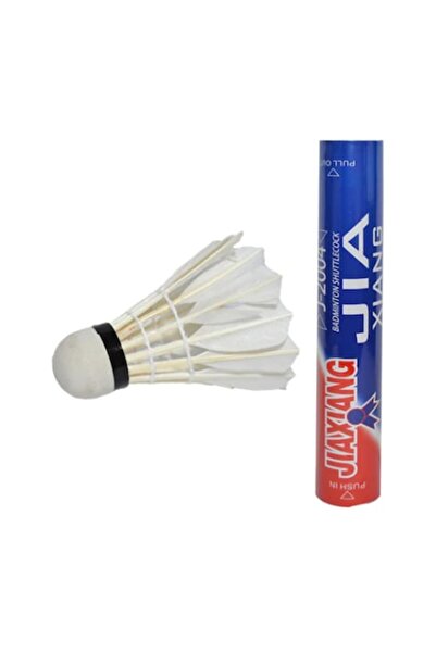 Vision XXI Set of 12 Badminton Shuttlecocks made of feathers and string VisionXXI