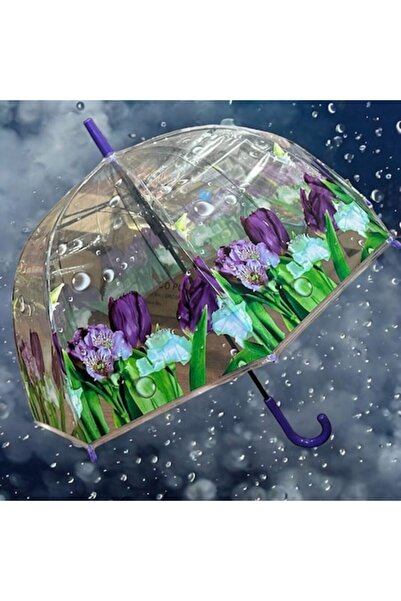 Vision XXI Umbrelă 80 cm, Semitransparentă, Iris Elegance, Automată, Violet,