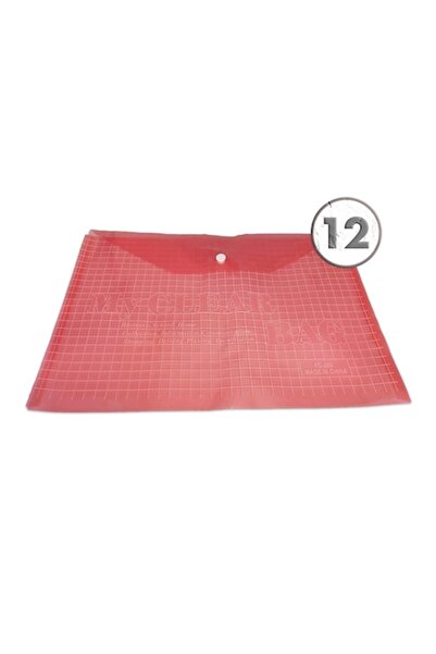 Vision XXI Set 12 plastic folders A4, Vision, 100 microns with button, red,