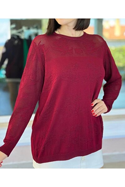 GALA WOMAN Long Sleeve Openwork Knit Sweater with Mesh Detail