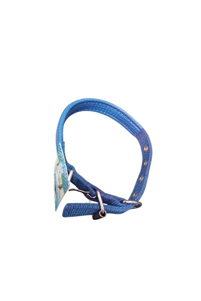 Vision XXI Zgardă din poliester cu protecție pentru gât din vinil, Vision XXI, albastră, 2 cm, reglabilă 30-37 cm