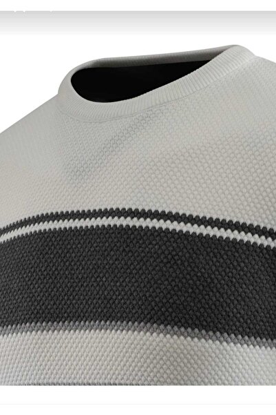 güncüoğlu Zero Collar Honeycomb Patterned Men's Knitwear Sweater