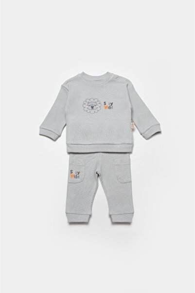 BabyCosy Organic Wear Lion blouse and pants set, gray, BabyCosy, 100% cotton