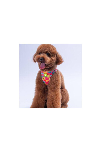 puppy طوق صدر ملون للكلاب