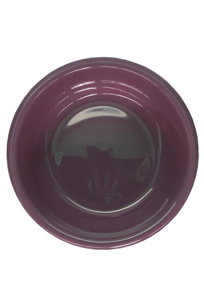 Vision XXI Vas de Apa Pentru Animale de Companie, Vision XXI, Roz Cu Desene, 24cm