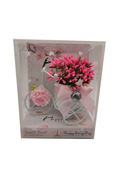 Vision XXI Aranjament floral Bike cu flori, în cutie cadou, roz, Colecția Vis...