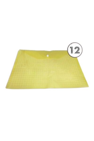 Vision XXI Set 12 plastic folders A4, Vision, 100 microns with clasp, yellow,