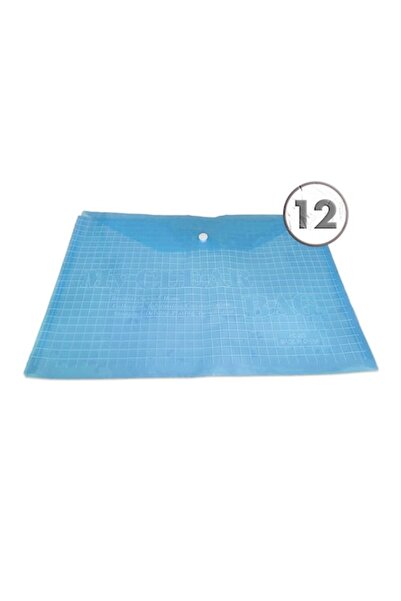 Vision XXI Set 12 plastic folders A4, Vision, 100 micron with button, blue,