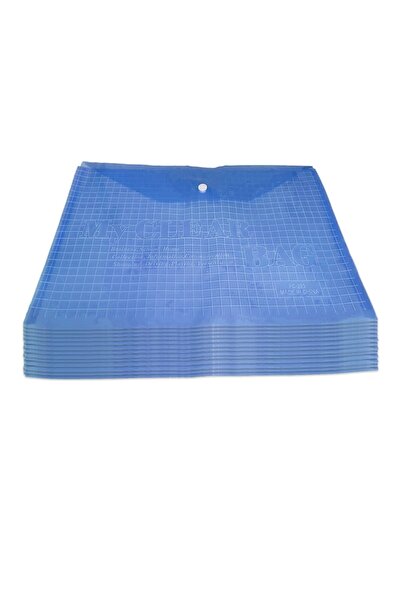 Vision XXI Set 12 plastic folders A4, Vision, 100 micron with button, blue,