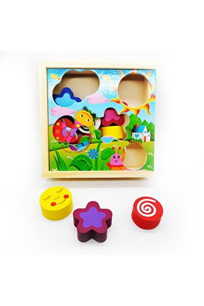 Vision Wooden puzzle, graphical intelligence box, 20 pieces
