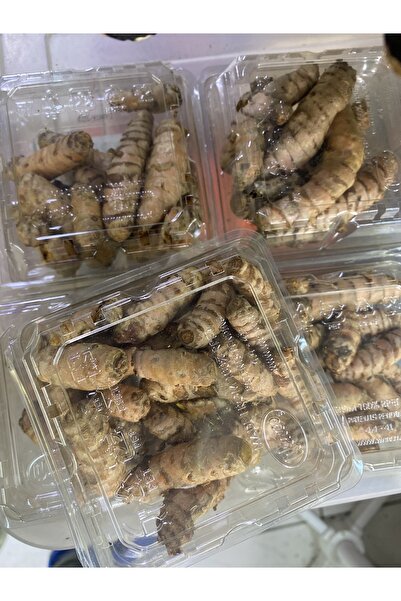 Aselife Taze zerdeçal 100gr