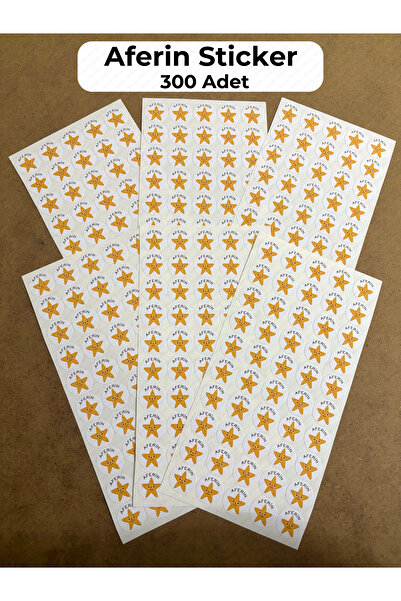 hdsticker 300 Pieces Teacher Sticker Set - Homework Check, Student Reward, Bravo Motivation Labels P2