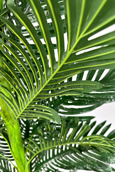 BİÇİÇEK Yapay Areka Ağacı 160-180 cm