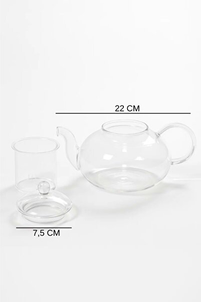 Jenisa Heat Resistant Glass Herbal Tea Infuser – Transparent Borosilicate Glass Teapot and Infuser Set