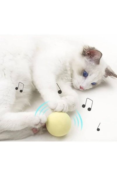 GOLD BE Sound Cat Toy – Touch-Sensitive Musical Ball