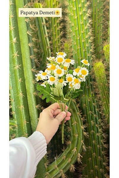 KOZALILAR Gerçek Görünümlü Yapay Mini Papatya Demeti 🌼 Dekoratif Çiçek
