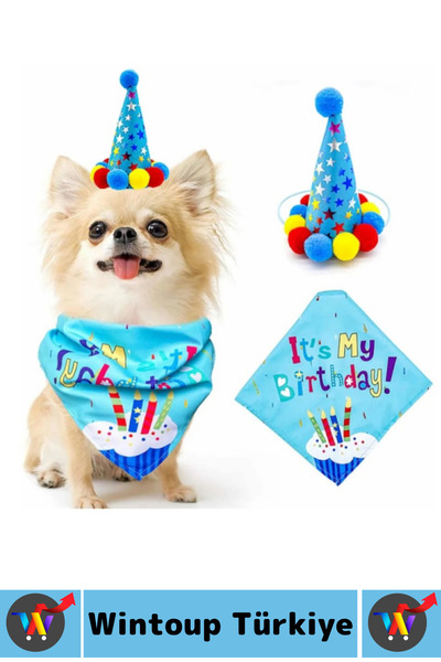 Wintoup Evcil Hayvan Pet İlgi Çekici Moral Yükselten Köpekler İçin Eğlenceli Ödül Doğum Günü Partisi Seti
