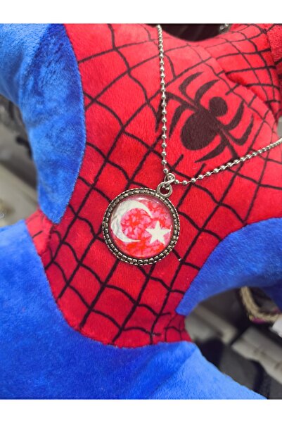 enyatakı Moon and Star Turkish Flag Model Men's Necklace