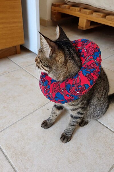 yalıpet Kedi ve Köpek Elizabeth Koruyucu Yakalık Tırnak Kesme Boyunlugu