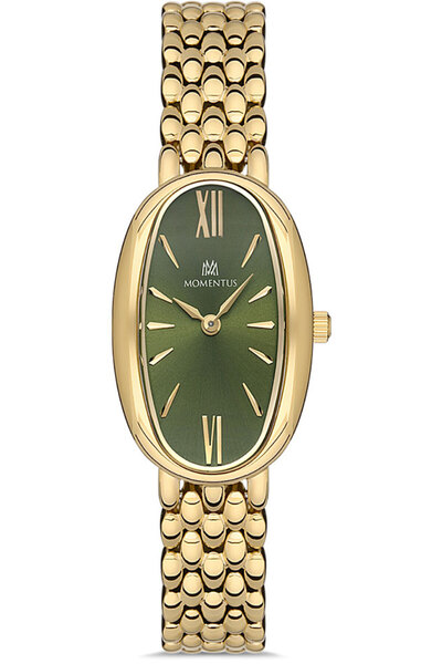 Momentus Cw254G-15Sg