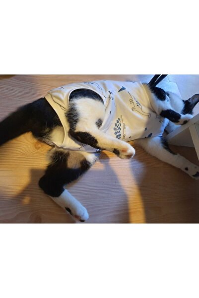 AboutThePerfect Beyaz Ameliyat Sonrası Kedi Tulumu, Rahat ve Güvenli Tasarım