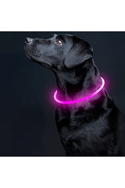 AboutThePerfect Renkli LED Işıklı Köpek Boyun Tasması, USB Şarjlı, Gece Güven...