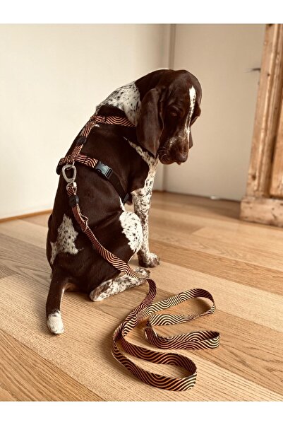 AboutThePerfect Bordo H tipi köpek göğüs tasması, rahat ve şık tasarım, büyük boy