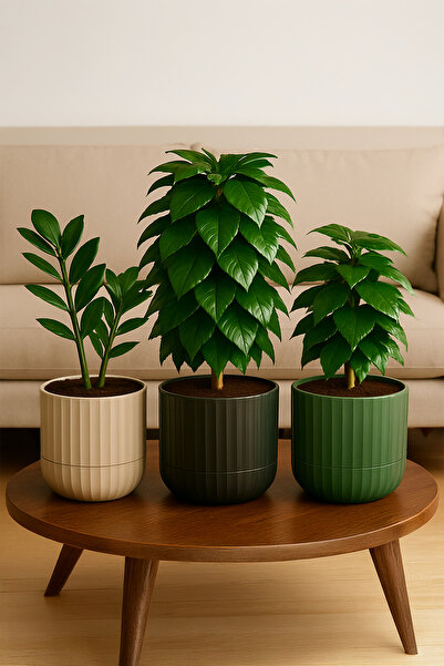 TEMMUZ HOME Zeraf Saksı No:2–3 Adet 2.6 Litre Tabaklı Masa veSehpa Üzeri Saks...