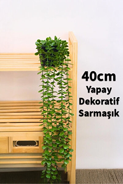 polbo 40 cm Yapay Sarkıt Bitki – Doğal Görünümlü Dekoratif Saksıda Yeşil Sarmaşık