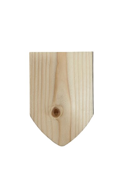 Lilac Home Ahşap Saksı İçerisinde Duvara Yapıştırılabilir Okaliptus Sarkıtı