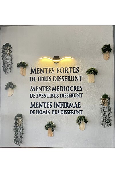 Lilac Home Ahşap Saksı İçerisinde Duvara Yapıştırılabilir Okaliptus Sarkıtı