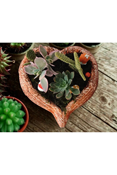 HARTOPİA Kalp Şeklinde Canlı Sukulent & Mini Kaktüs Aranjmanı – Terracotta Eskitme Seramik Saksı