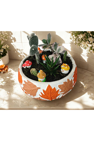 HARTOPİA Sonbahar Masalı Sukulent & Kaktüs Çiçekli Saksı