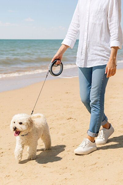 CasaPetra Dog Walking Collar with Automatic Adjustable Structure