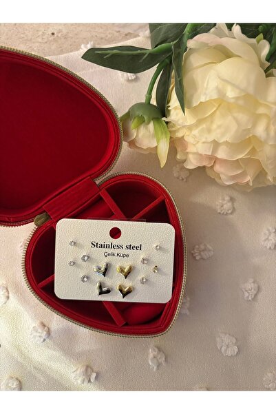 Stainless Steel Stylish Elegant Heart Earrings