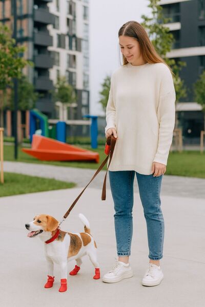 CasaPetra Silicone Pet Shoes Cat Shoes