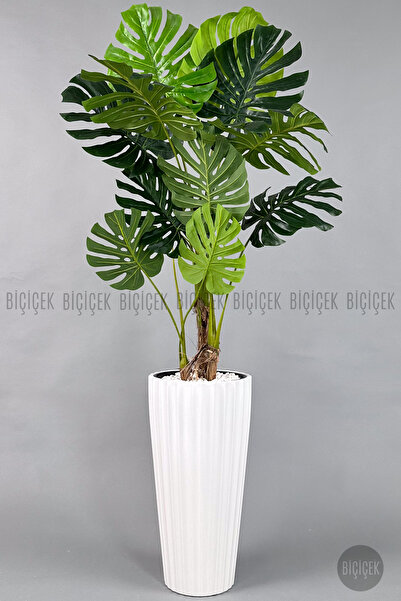 BİÇİÇEK Monstera Ağacı 160-200 cm Bambu Gövde